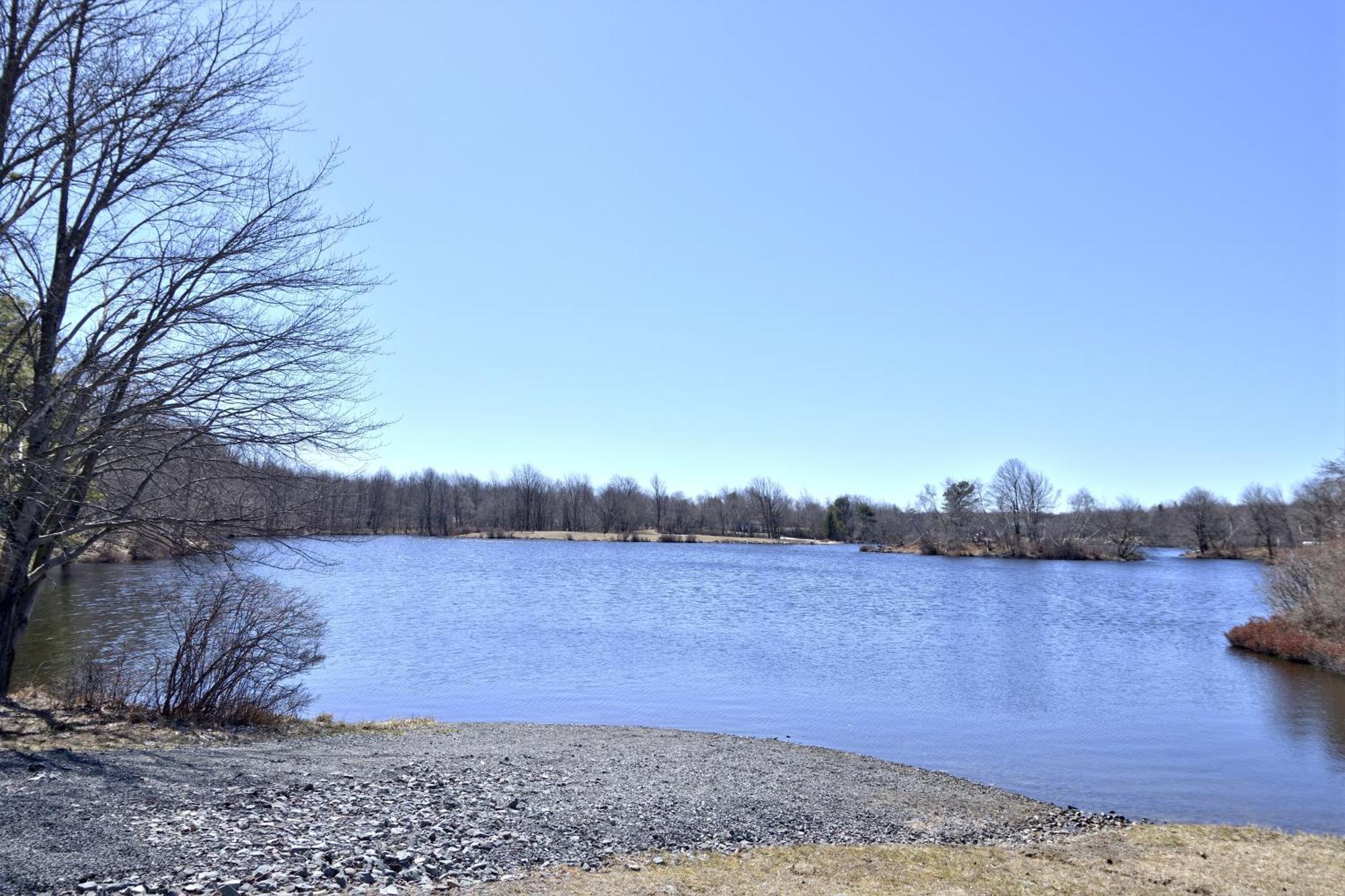 Lakehouse *Hottub*Jacuzzi*Firepit*Bbq*Pool Long Pond Extérieur photo